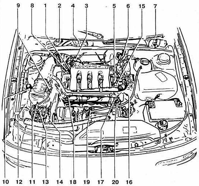 Что находится под капотом автомобиля схема